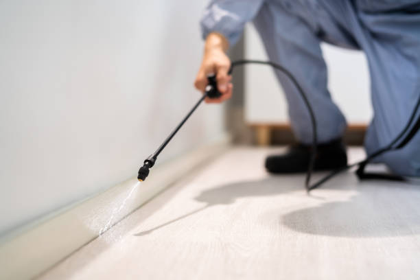 Licensed Pest Control service in Aspen Hill, MD - Show Me Pest Control